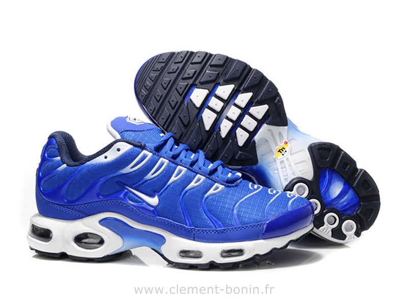 baskets tn requin