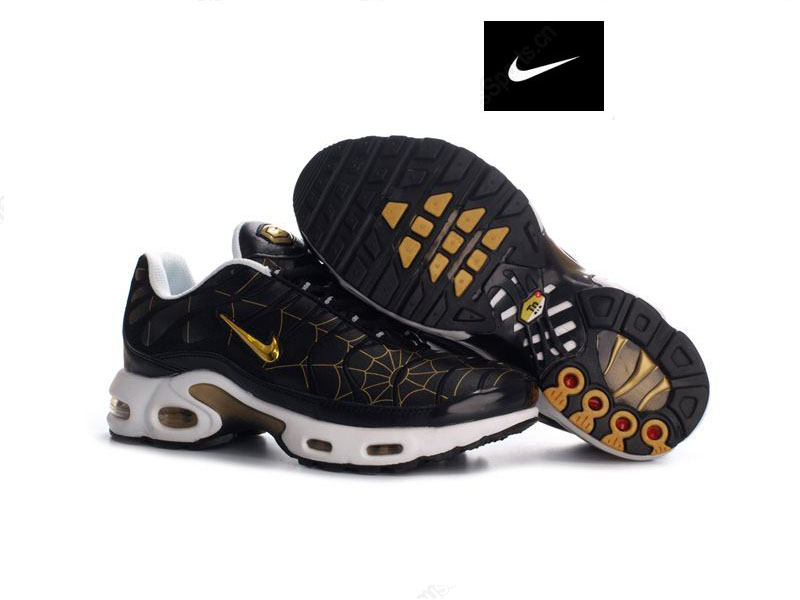 achat tn requin