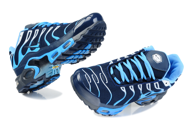 requin tn homme